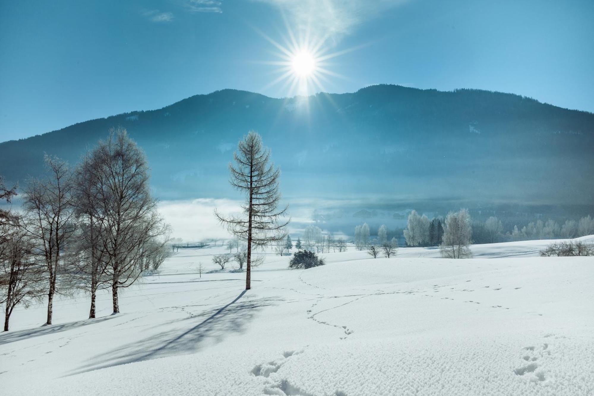 Imlauer Hotel Schloss Pichlarn Aigen im Ennstal Exterior photo Winter in Japan