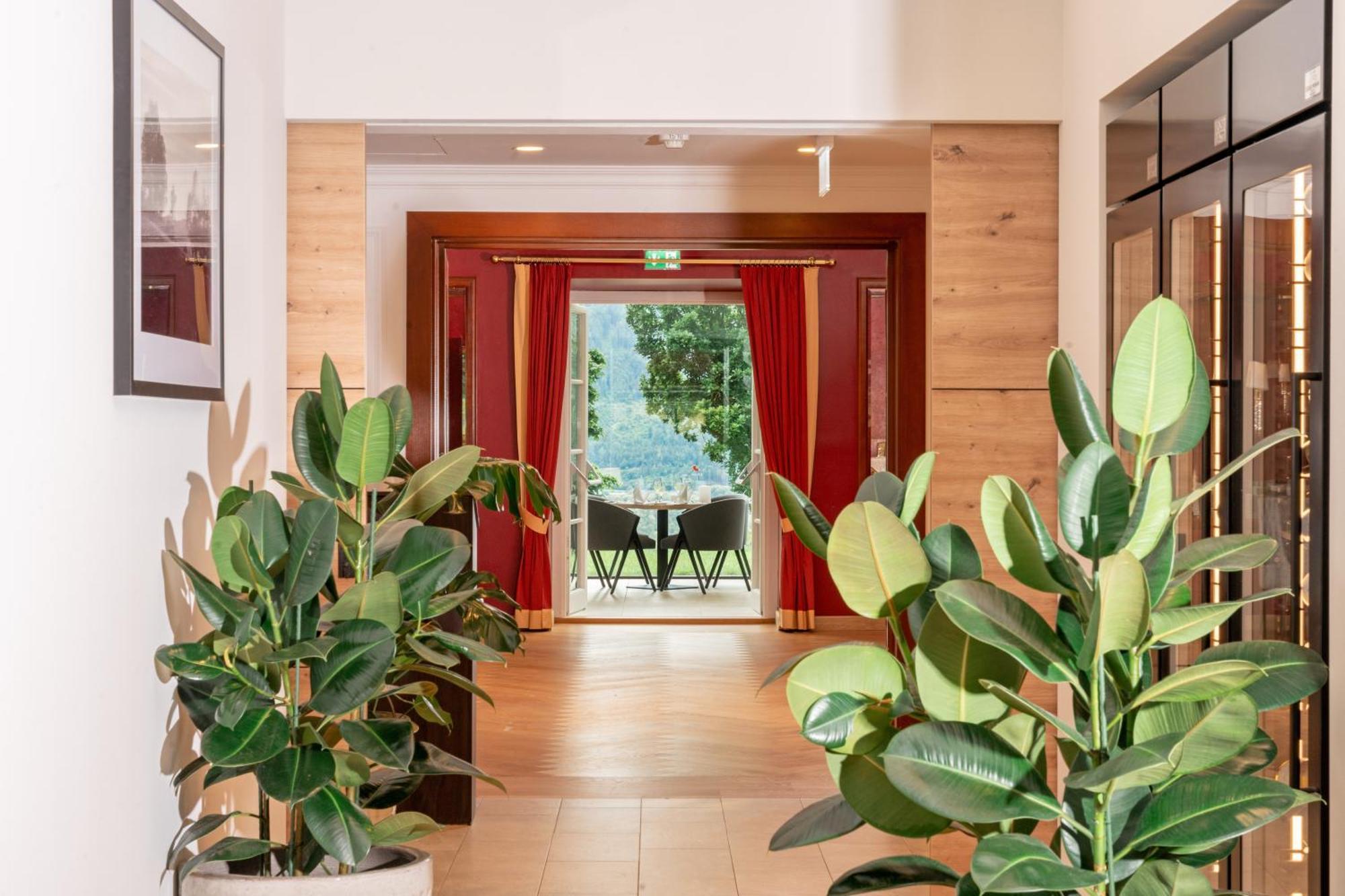 Imlauer Hotel Schloss Pichlarn Aigen im Ennstal Exterior photo Ficus elastica in a hotel