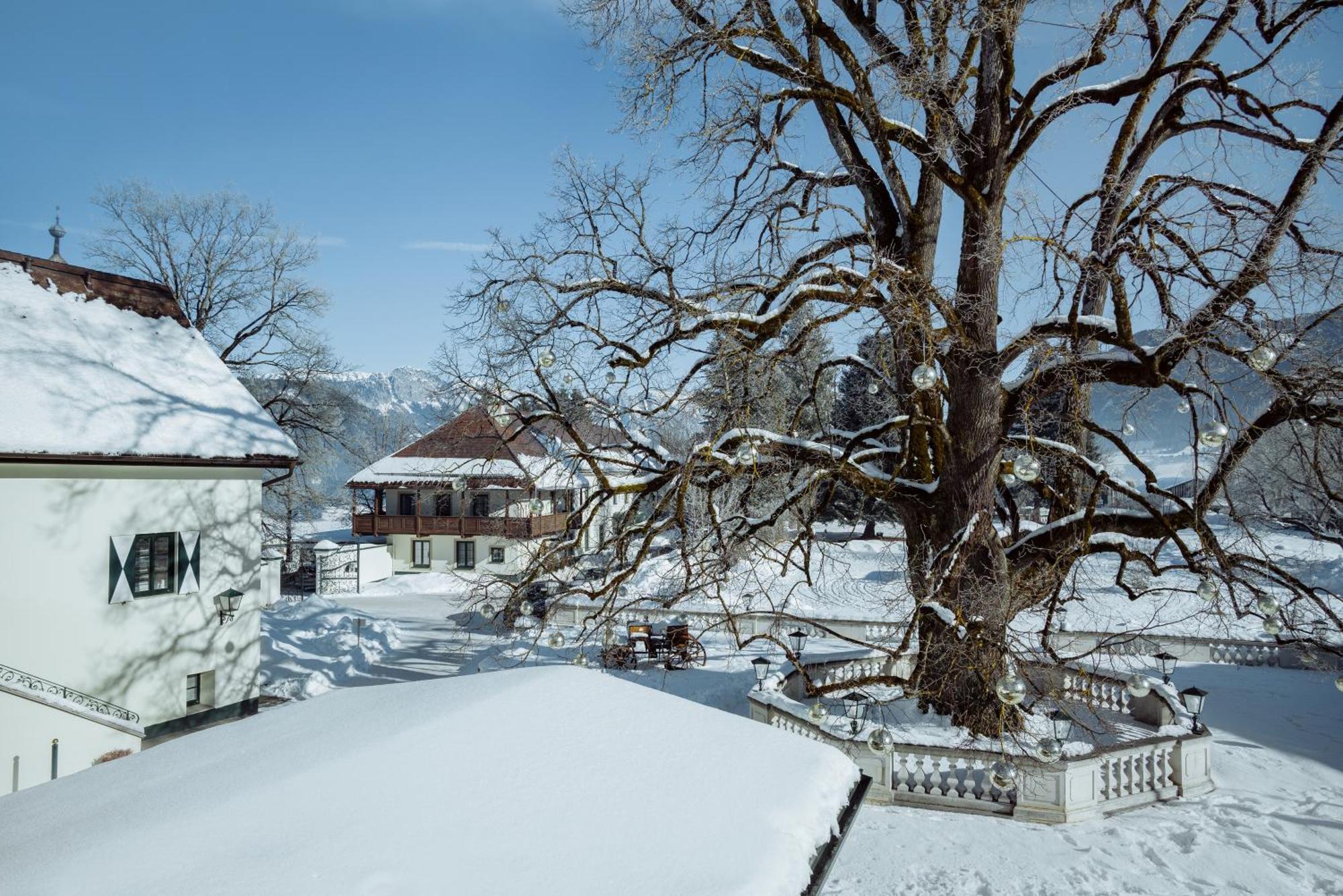 Imlauer Hotel Schloss Pichlarn Aigen im Ennstal Room photo The old oak tree in winter